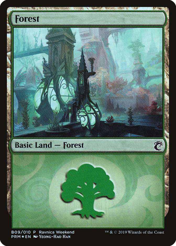 Forest (B09) [Ravnica Allegiance Guild Kit] | Total Play