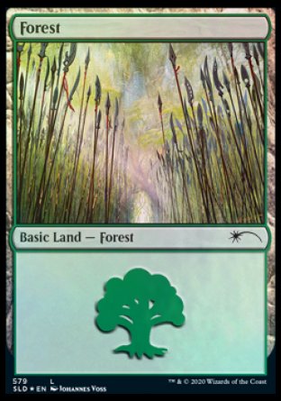 Forest (Elves) (579) [Secret Lair Drop Promos] | Total Play