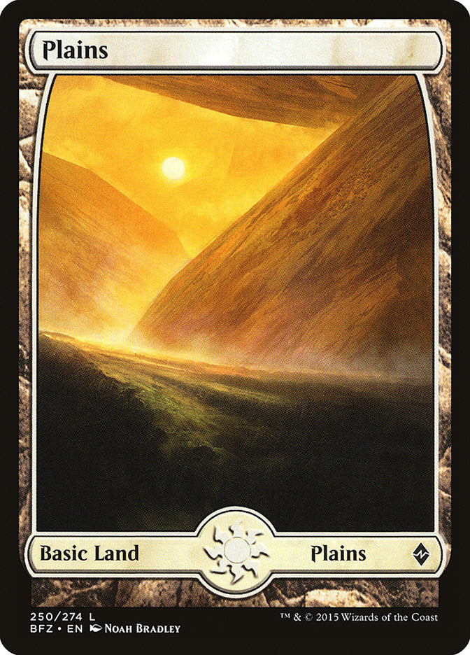 Plains (250) [Battle for Zendikar] | Total Play