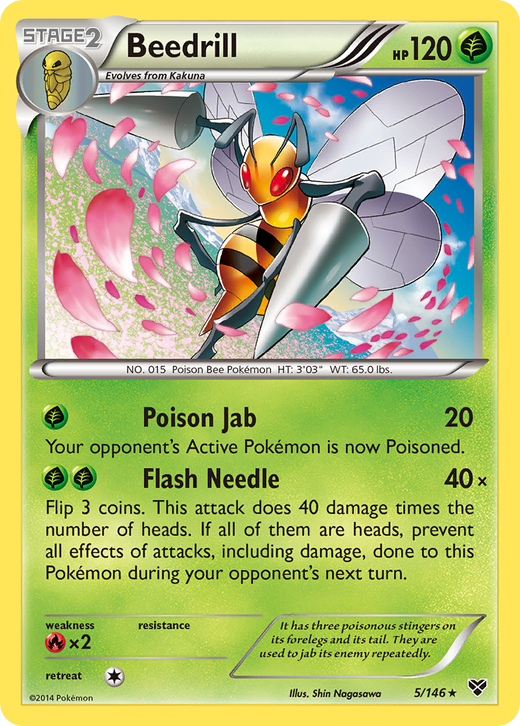 Beedrill (5/146) [XY: Base Set] | Total Play