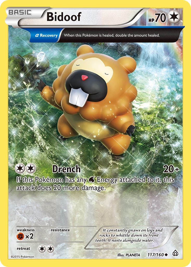 Bidoof (117/160) [XY: Primal Clash] | Total Play