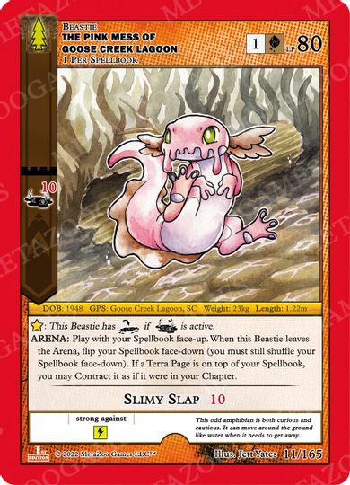 The Pink Mess of Goose Creek Lagoon [Cryptid Nation: Wilderness] | Total Play