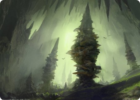 Forest (280) Art Card [Dungeons & Dragons: Adventures in the Forgotten Realms Art Series] | Total Play