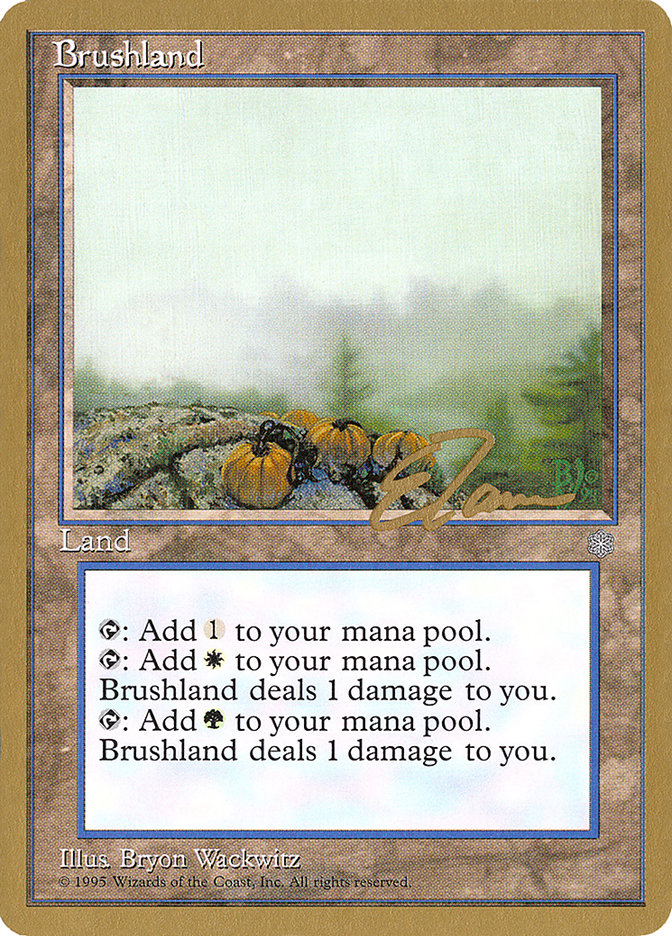 Brushland (Eric Tam) [Pro Tour Collector Set] | Total Play