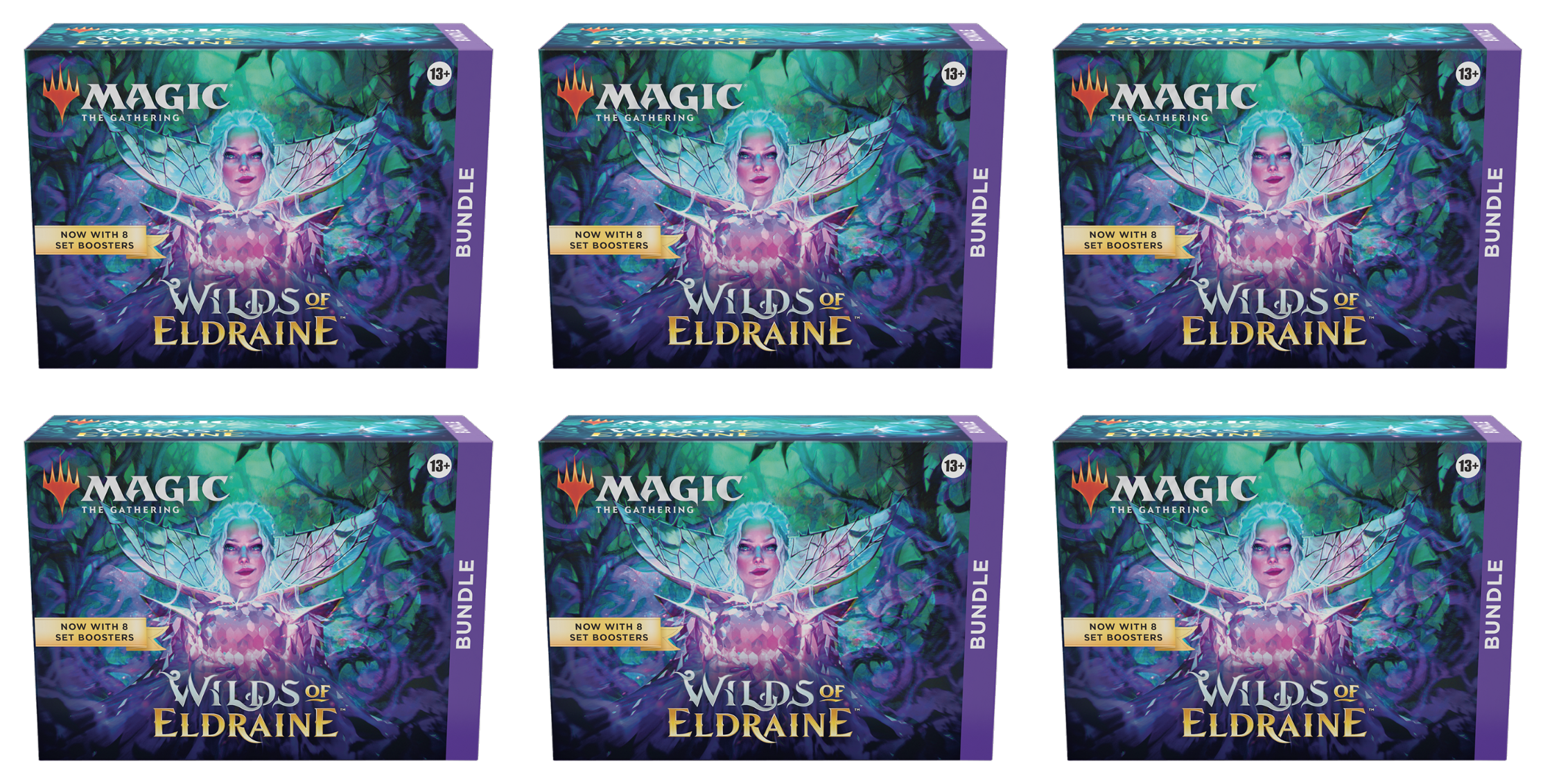 Wilds of Eldraine - Bundle Case | Total Play