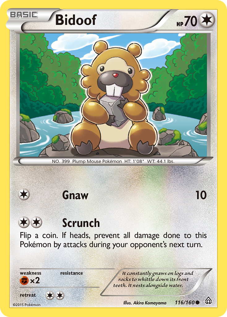 Bidoof (116/160) [XY: Primal Clash] | Total Play