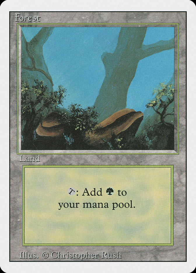 Forest (304) [Revised Edition] | Total Play