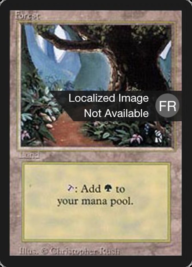 Forest (B) [Foreign Black Border] | Total Play