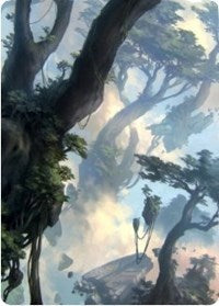 Forest 1 Art Card [Zendikar Rising Art Series] | Total Play